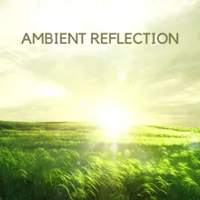 Ambient Reflection