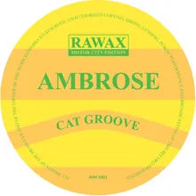 Cat Groove