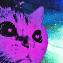 Neon Cat