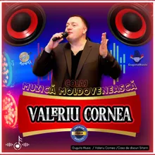 Valeriu Cornea / Colaj / Muzică Moldovenească