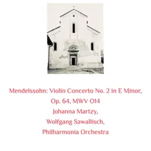 Violin Concerto No. 2 in E Minor, Op. 64, MWV O14: III. Allegretto non troppo. Allegro molto vivace