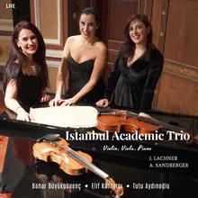 Trio No. 1, Op. 37: IV. Finale - Allegro