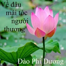 Về quê cắm câu 2