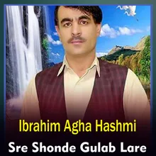 Sre Shonde Gulab Lare