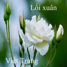 Lối xuân 1