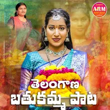 Telangana Bathukamma Pata