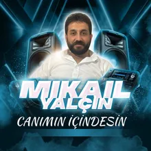 Canımın İçindesin