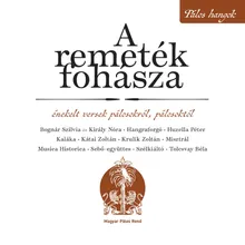 Békesség-óhajtás