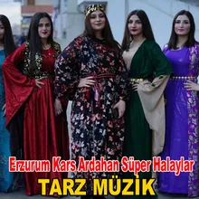 Erzurum Kars Ardahan Süper Halaylar