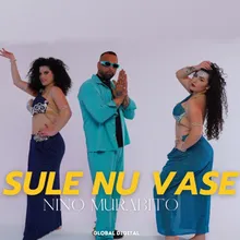 Sule nu vase