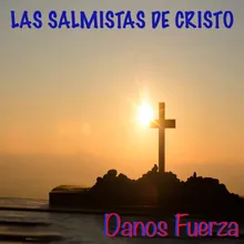 Danos Fuerza