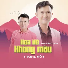 Hoa Nở Không Màu