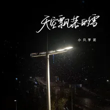 天空飘落的雪