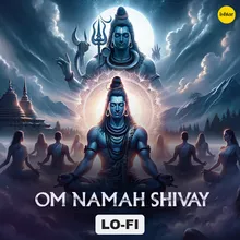 Om Namah Shivay