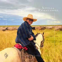 Novilla Reventadora