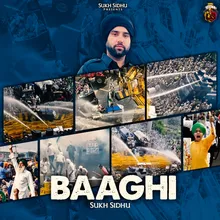 Baaghi