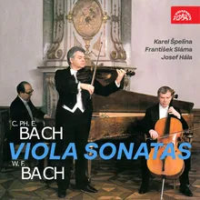 Viola da Gamba Sonata in G Minor, Wq. 88: I. Allegro moderato