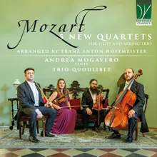 Quartet for Flute and String Trio No.4 in D Major, K.311: II. Andante con espressione