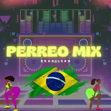 PERREO MIX Brasilero