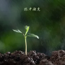 三月花