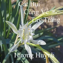 Cát Bụi Cũng Về Tay Trắng 1