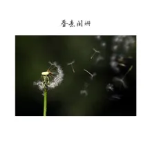 百花齐放