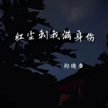 红尘赐我满身伤