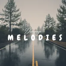 Moonshadow Melodies