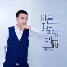 你是我永远的痛