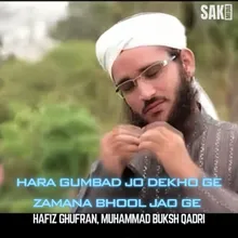 Hara Gumbad Jo Dekho Ge Zamana Bhool Jao Ge