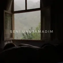 Seni Unutamadım