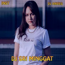 DJ Sri Minggat SLow Remix - Inst