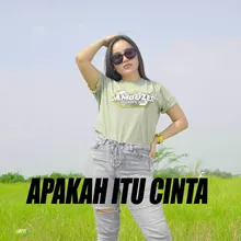 DJ APAKAH ITU CINTA JEDUG 2 INST