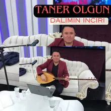 Dalımın İnciri