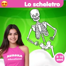 Lo scheletro