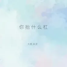 你抬什么杠