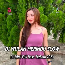 DJ Wulan