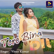 Tere Bina Dil