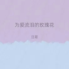 为爱流泪的玫瑰花