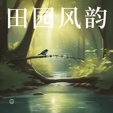 清风拂林曲