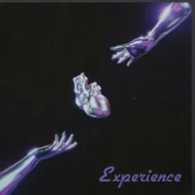 Experience