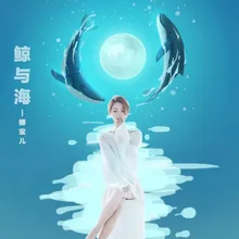 鲸与海