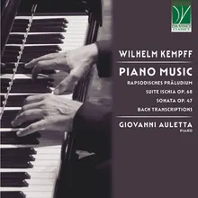 Flute Sonata in E-Flat Major, H. 545: II. Siciliano