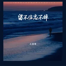 留不住忘不掉