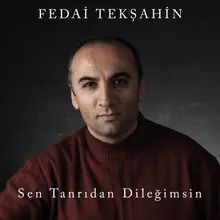 Sen Tanrıdan Dileğimsin