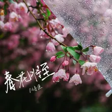 春花将至