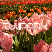 Tulipark