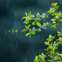 雨中愁