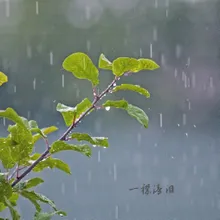 雨中愁