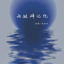 雨淋碎记忆